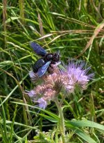 PXL_20250610_122554935~2.jpg