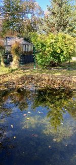 Garten.jpg Garten.jpg