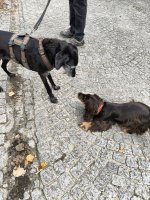 1000002010.jpg 1000002010.jpg