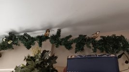 1000002384.jpg 1000002384.jpg