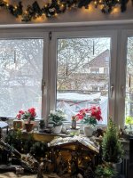 1000002381.jpg 1000002381.jpg