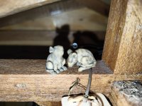 1000002386.jpg 1000002386.jpg