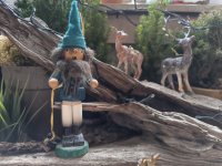 1000002388.jpg 1000002388.jpg