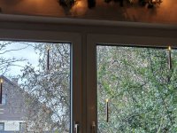 1000002390.jpg 1000002390.jpg