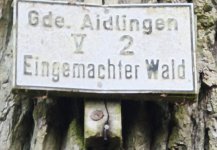 1000002419.jpg 1000002419.jpg