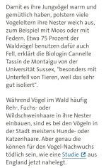 1000258913.jpg 1000258913.jpg