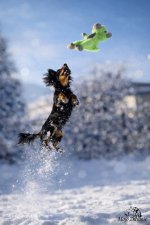 schnee10jannuar1 Kopie.jpg