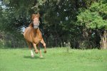 DSC_0262.jpg