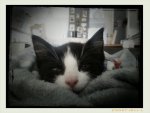 IMG-20160618-WA0002.jpg