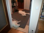 20161116_075924_resized.jpg