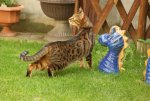 DSC05373.jpg
