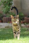DSC04546.jpg