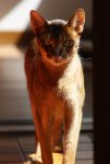 DSC01552.jpg