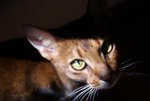 DSC00148.jpg