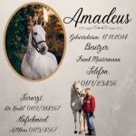 Stallschild Amadeus.jpg