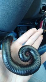 IMG-20160306-WA0000.jpeg