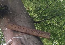 Kühkirchhofweg.jpg