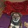 roxy&lucila