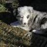 Lilli2004