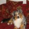 Finley