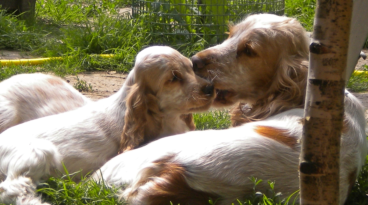 Nelly mit Tochter Angie