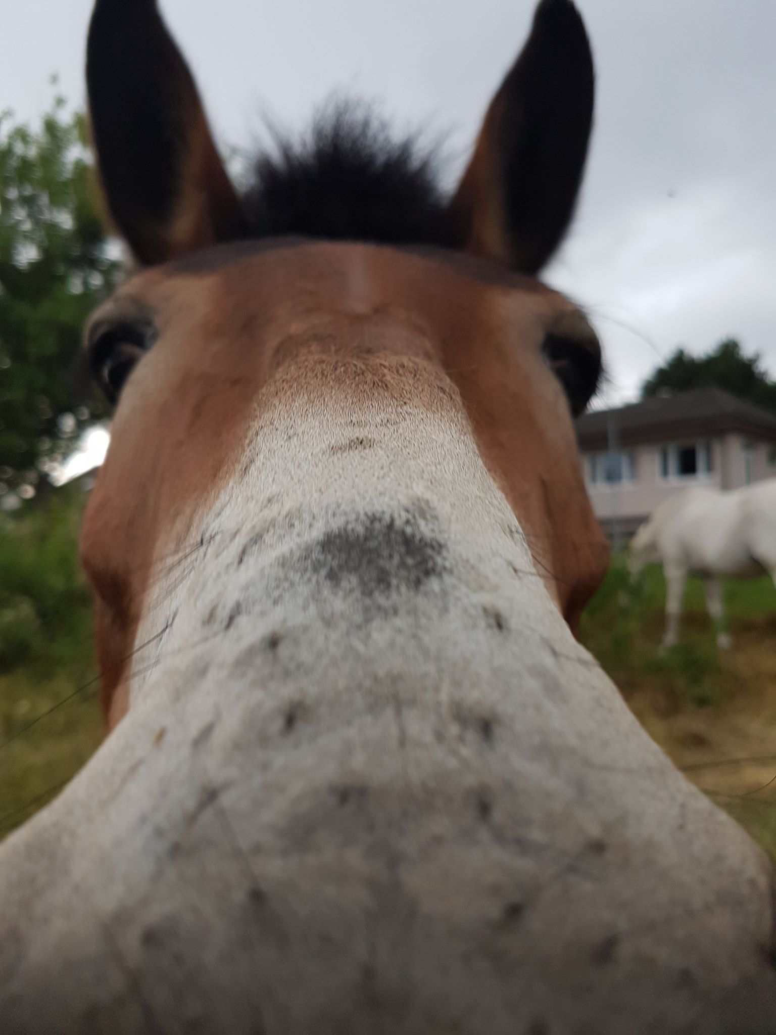 Was ist das für ein Ding in Deiner Hand?